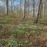 Tjebberupgaard * Holbæk