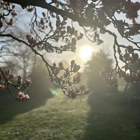 Tjebberupgaard Bed & Breakfast