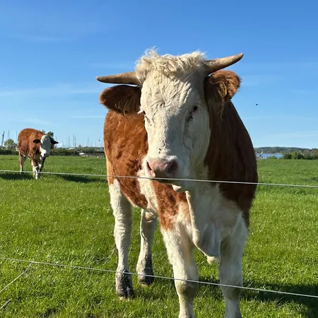Tjebberupgaard Holbæk