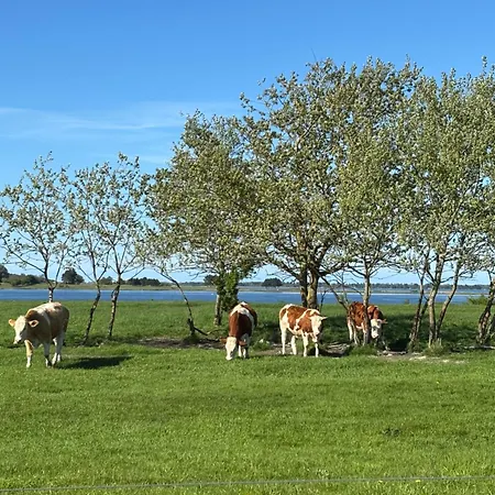 Tjebberupgaard Bed & Breakfast *