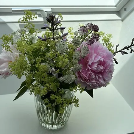 Tjebberupgaard Bed & Breakfast *