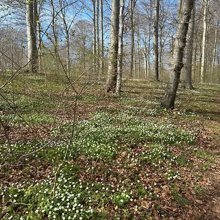 Tjebberupgaard * Holbæk