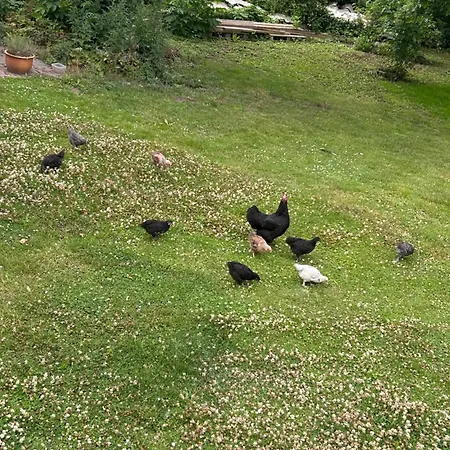 Tjebberupgaard ベッド・アンド・ブレックファスト Holbæk