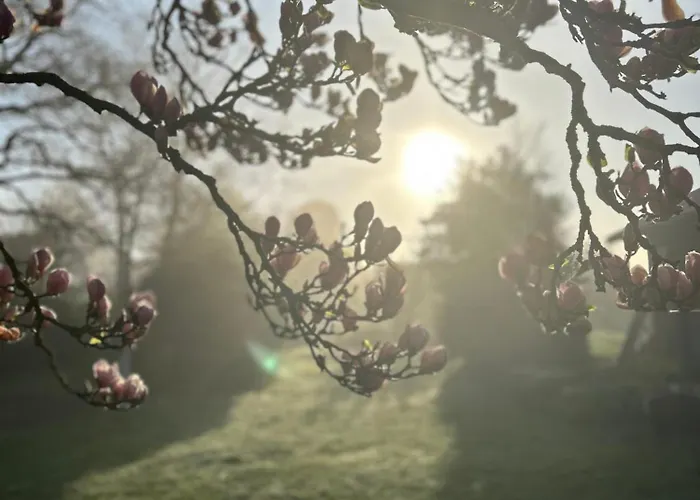 Tjebberupgaard Bed & Breakfast