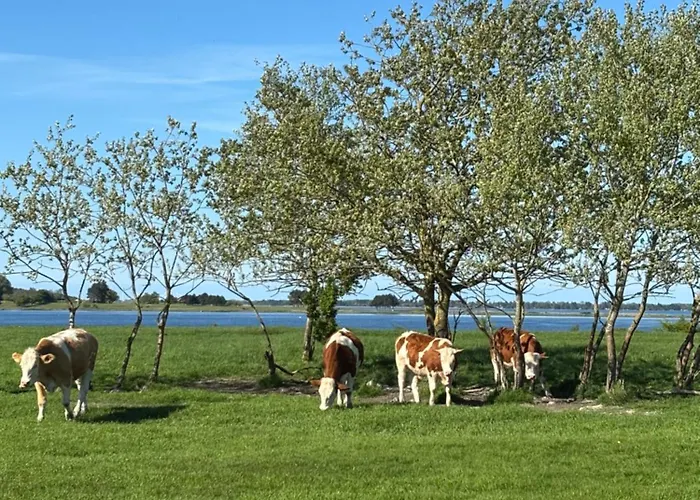 Tjebberupgaard Bed & Breakfast *