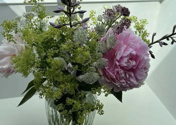 Tjebberupgaard Bed & Breakfast *