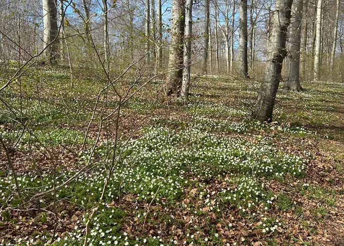 Tjebberupgaard * Holbæk