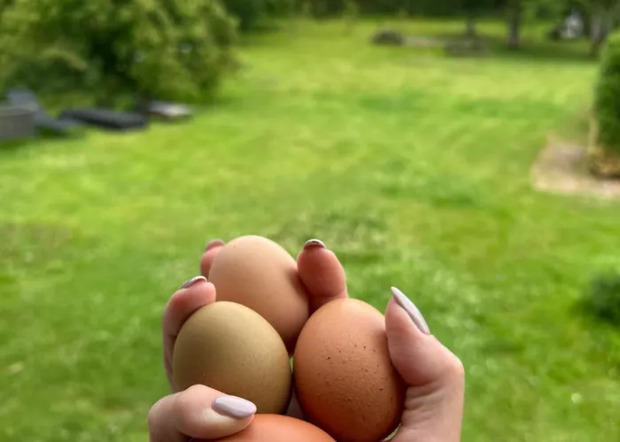 Bed & Breakfast Tjebberupgaard Holbaek