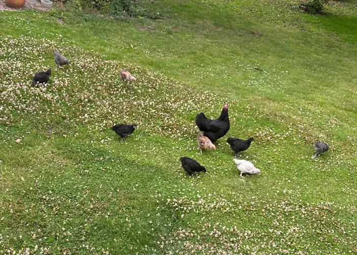 Tjebberupgaard Bed & Breakfast Holbaek